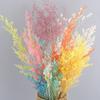 Portable Lightweight Artificial Plant Natural Flowers Cute Lovely Dry Grass Bouquet for Living Room Wedding Home