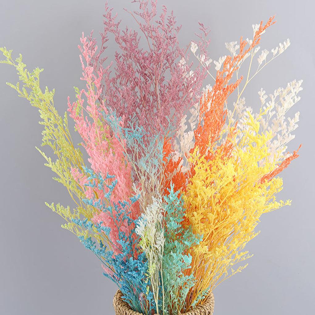 Portable Lightweight Artificial Plant Natural Flowers Cute Lovely Dry Grass Bouquet for Living Room Wedding Home