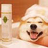 WAFONA Naturalny Szampon 250ml