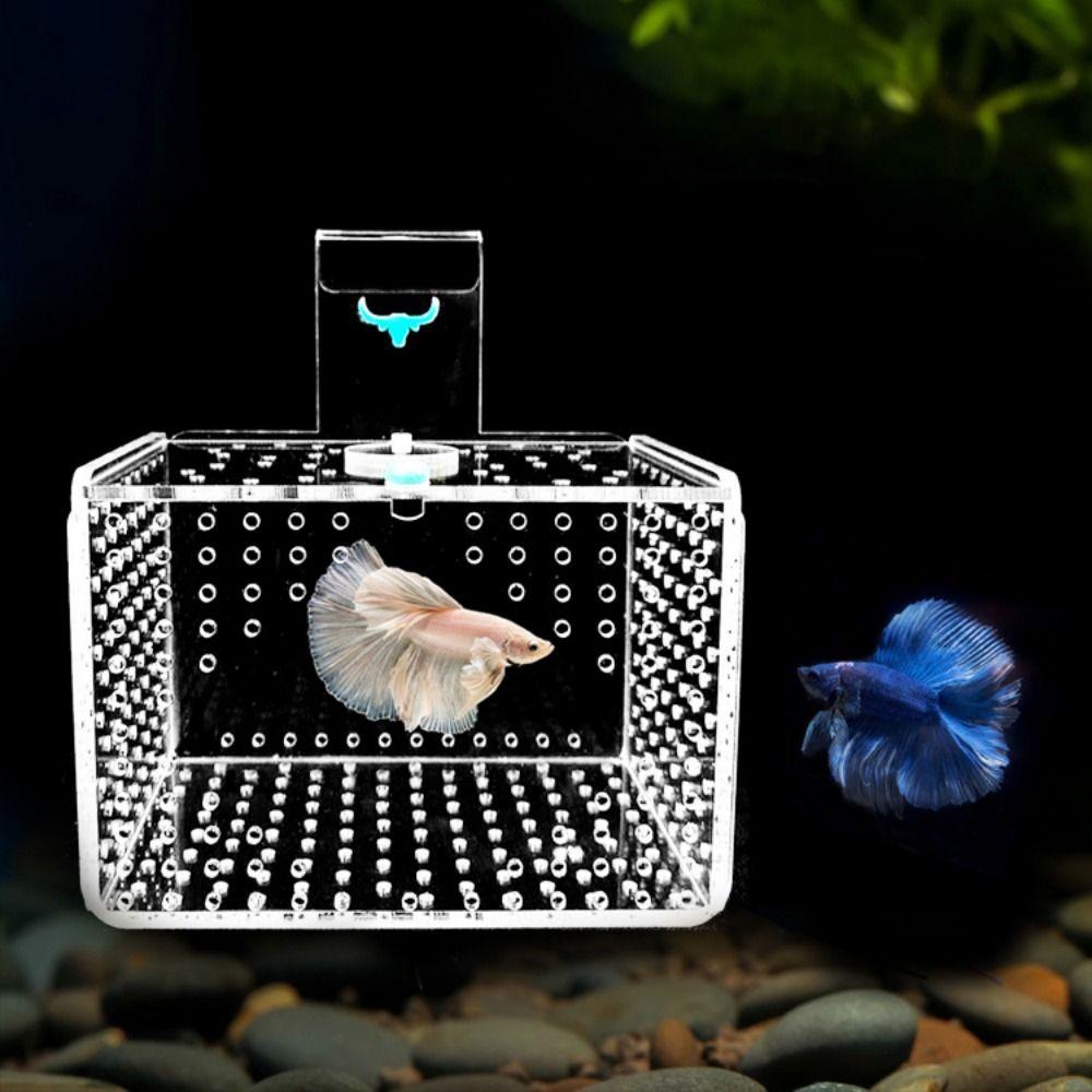 Wall Mount Fish Breeding Box Acylic Floating Hatching Box Fish Tank Isolation Box for Fish Store