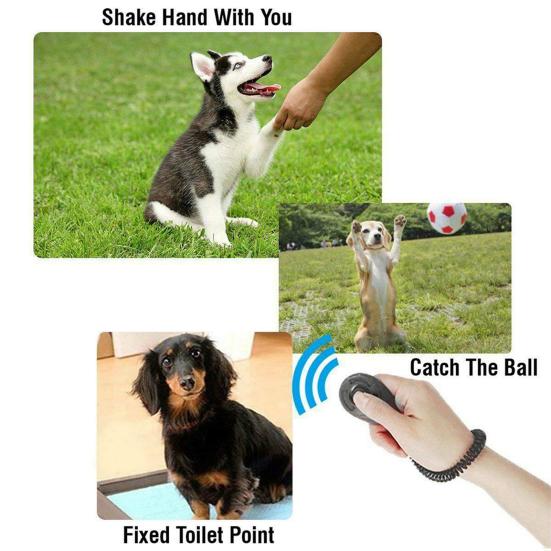 Pet Trainer Oval Shape Elastic ABS Dog Training Clicker for Outdoor