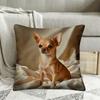 Vintage Chihuahua Hund Kissenbezug, 45x45cm, Reißverschluss Dekorative Kissenhülle für Zuhause und Büro Dekoration Kissenbezug