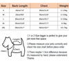 Winterkleidung für kleine Hundewelpen: Weicher, warmer Mops-Teddymantel, modische Hundeweste, Geschenk