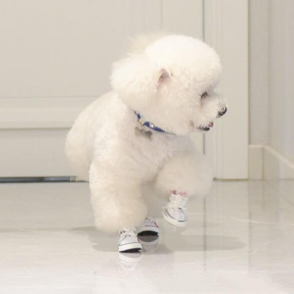 4Pcs Wear-resistant Pet Denim Boots Non-slip Puppy Sport Sneaker  For Small Dogs Cats