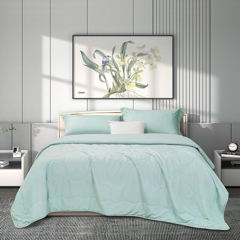 FUANNA Katie Lightweight Washable Fiber Quilt