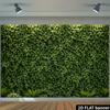 2D Natural Greenery Ivy Wall Backdrop Outdoor Scenery Photo Background