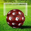 Rennes Football Club Crest Soccer Ball Size 5 Soccer Ball, Machine-stitched, Soft and Comfortable, Suitable for Training and Matches Fan Gift