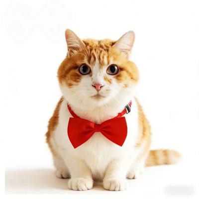 Adjustable Pet Bow Tie Collar for Dogs and Cats, Universal Small Dog Accessories, Party and Festival Costume Fashion Items
