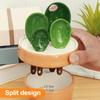 4 Pcs Porcelain Measuring Spoons Set with Base Cute Cactus Shape Stirring Soup Spoon Reusable Ceramic Flower Pot Measuring Spoon