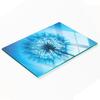 Tempered Glass Kitchen Splashback with Decorative Dandelion Graphic 80X52 Cm