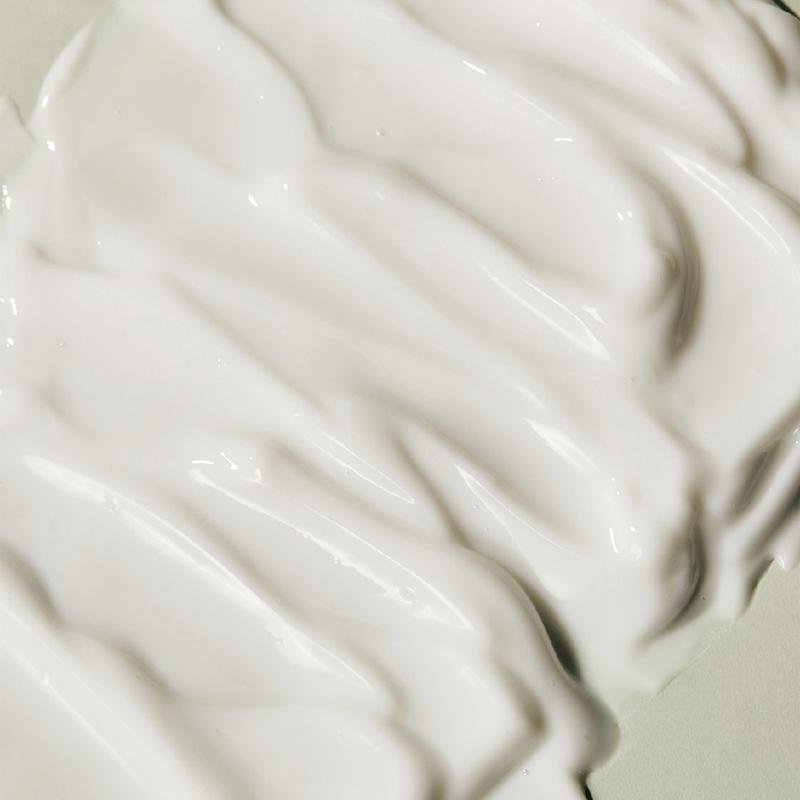 [STEAMBASE] Roseherb Volume Lifting Youth Cream 50ml