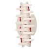 Cherry Pattern Women Girls Acetate Fashionable Rhinestone Hair Clip Hair Accessories for Daily Life Dating Beige