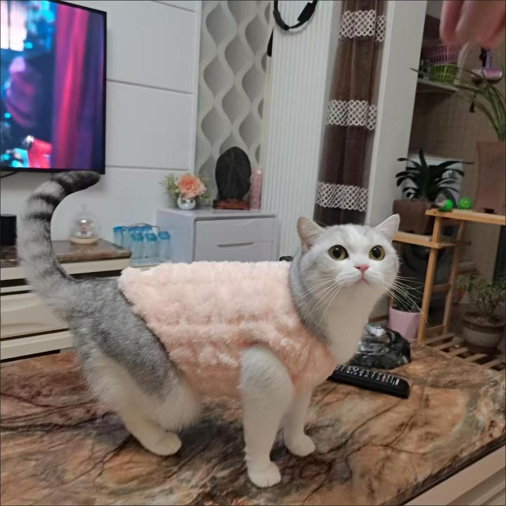 Winter Dog Clothes Soft Fleece Pet Jacket For Small Medium Dogs Cats Cute Cozy Warm Puppy Coat Chihuahua Yorkshire Clothing