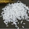Cabinet Decoration Chinese Grain Model Photography Prop Rice Model Simulation Rice Grain Fake Rice