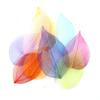 Dried Flowers Natural Skeleton Leaf Vein DIY Handmade Materials Nail Art Flowers Material for Wedding Party Home Decor-20/24pcs