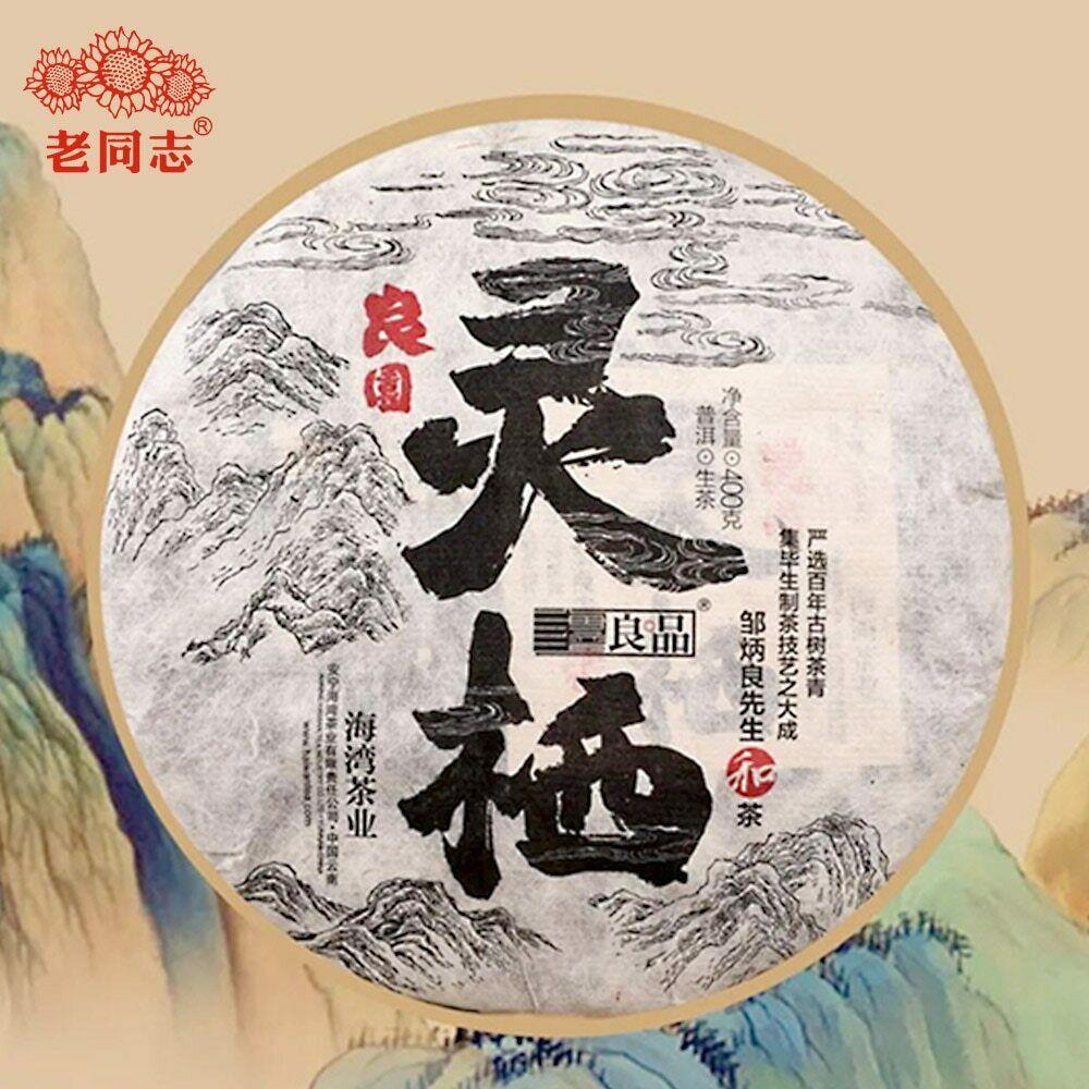 Top Raw Puer Tea Cake Haiwan The Gathering of Plant Spirit Shen Puerh Tea 400g