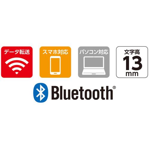 Shinwa Sokutei Digital Caliper, Capital Letter 2, 150mm, with Data Transfer Function, 19810