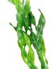 5 Pcs Artificial Seaweed for Aquarium Plastic Plant Decorations Multicolor Artificial Fish Tank Ornament Grass