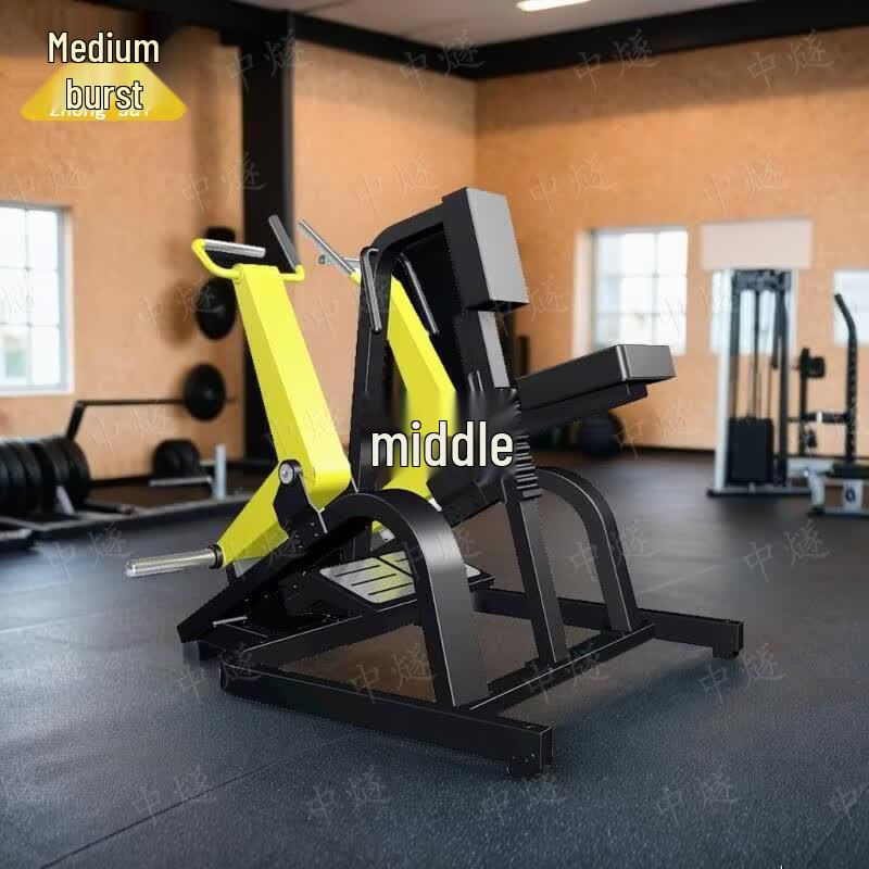 ZhongSui Plate-Loaded Seated Row & Lat Pulldown Machine
