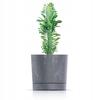 Concrete Effect Plastic Planter , Elegant Tubo