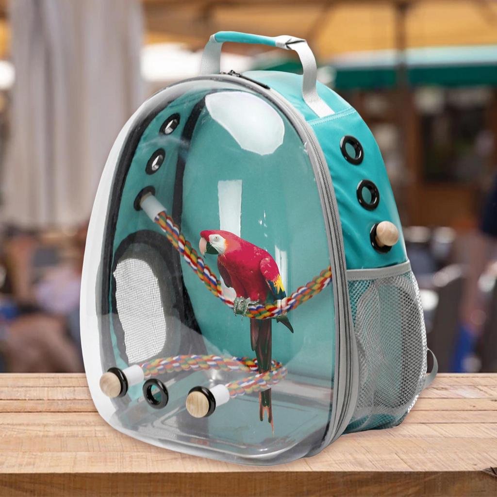 Backpack And Standing Perch