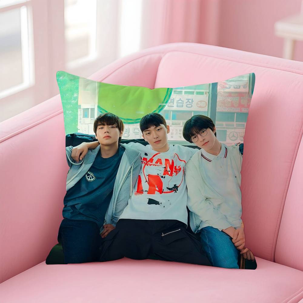 Hot Movie W-Weak Hero Class 1 Pillow Case Anti-Dustmite Pillowcase Invisible Zipper Silky Short Plush Sofa Cushion Cover