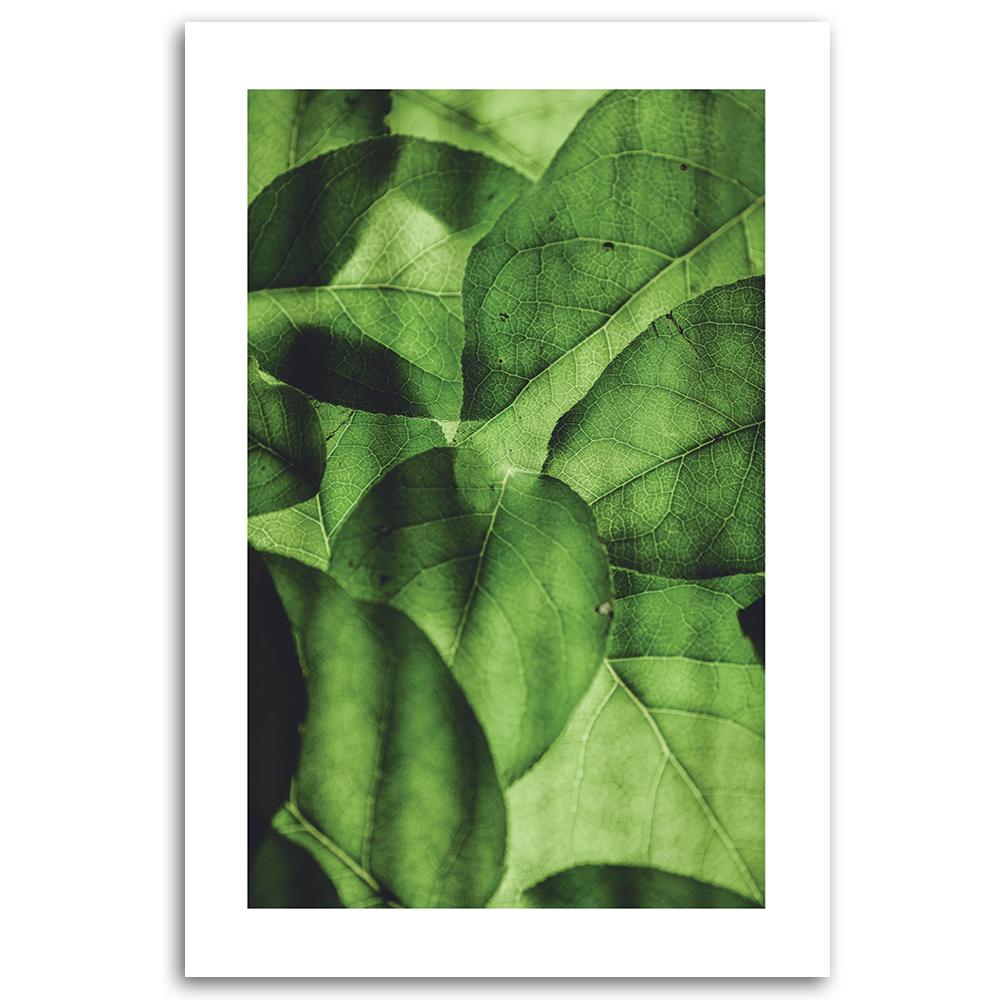 Canvas print, Green leaves on a macro scale