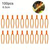 100 pièces Pince à Plante Fourchette à Fraise Outil Jardinage Plastique Environnemental Orange Durable Fixation Fixe Pinces Outils Fixation Plante