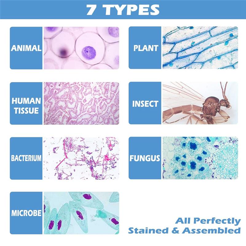 A84E-200 Packs Microscope Slides, 100 Plants & 100 Animal Tissues Includes Labels And Case For Biological Science Education
