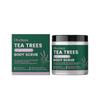 Tea Tree Oil Body Scrub, Lavender Scent, with Aloe Vera, Green Tea & Rosemary Extract, Moisturizes, Removes Dead Skin
