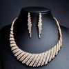 Claw Chain Series Rhinestone Exaggerated Necklace Earrings Set Dinner Collarbone Chain Necklace Women