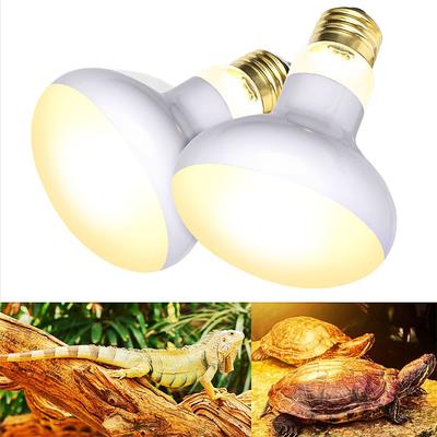 Controller Bird Snake Turtle Basking Lizards Heating Lamp Reptile Lamp Bulb UVA Day Night