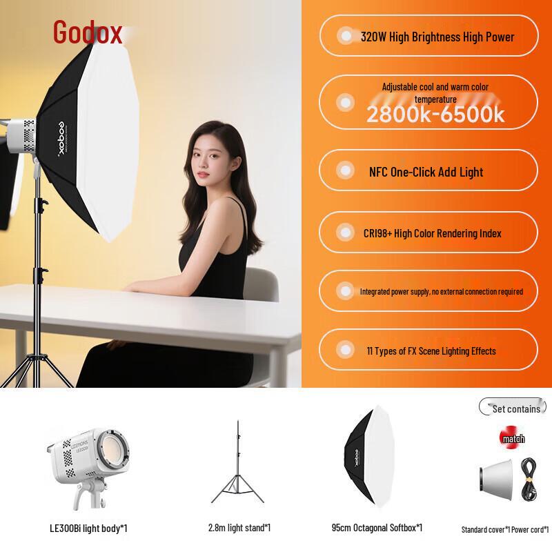Godox LE300Bi Bi-Color LED Video Light Kit