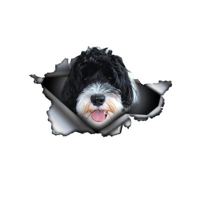 Portuguese Water Dog Car Stickers Scratch Blocking Self-Adhesive Waterproof Decal, Used for Car, Laptop, Motorcycle, Van, RV