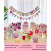 My Little Pony Birthday Party Decoration Set B