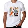 Midwest Birds Guide TShirt Casual Loose Daily Wear TShirt