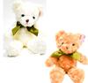 Two Talking Teddy Bears with Recording Ribbon Function, Surprise! [Includes Bag]