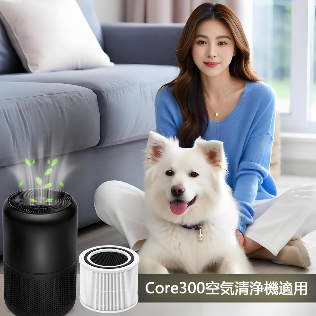 CHNPOFNT Kompatybilny Filtr do Oczyszczacza Powietrza 2 szt. do Core 300 300S P350 Pro Plasma Filtr Zamienny