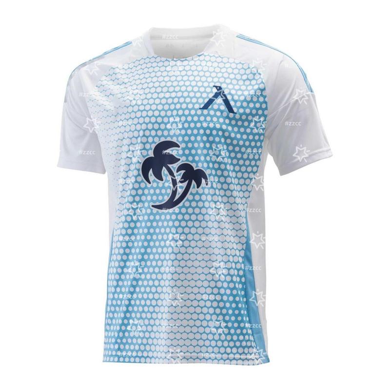 25-26 Bulgarian First League Levski Sofia home football jersey Competition training suit Sports Dry Quickly Men's T-Shirt Tee