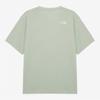 The North Face Men S eSSence ShorT Sleeve T ShirT minT nT7uS50d