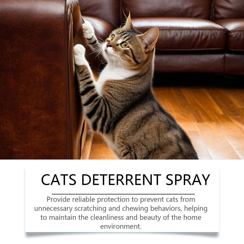 Yegbong Spray Repellente Premium per Gatti - Repellente Sicuro per Interni ed Esterni per la Protezione dei Mobili, Efficace Aiuto per l'Addestramento con Ingredienti Naturali