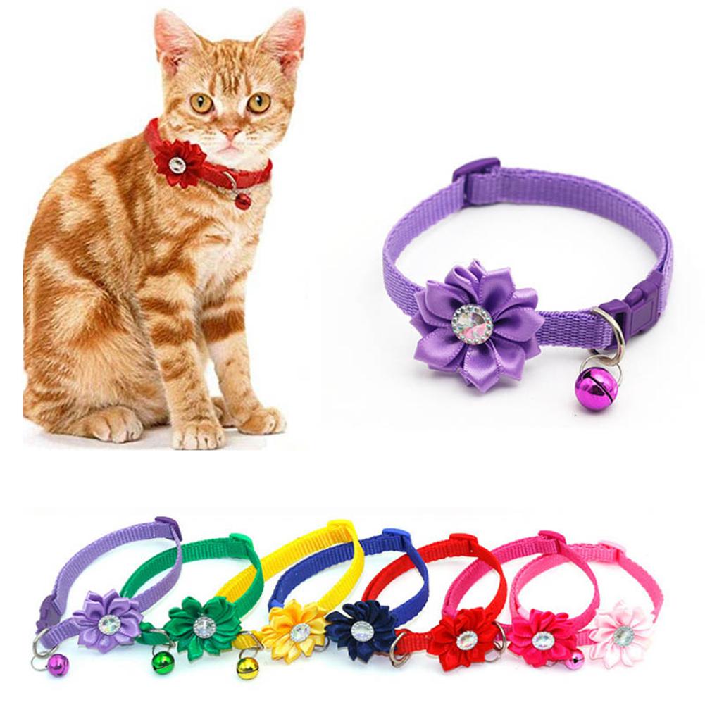 

Регулируемый ошейник для собак и кошек, украшенный цветком