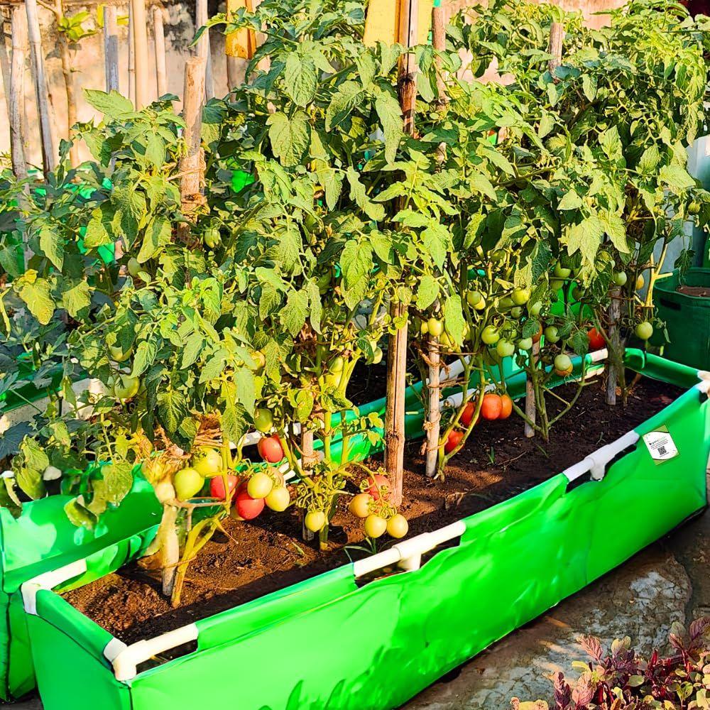 Rectangle Grow Bag with Supporting PVC Pipes for Home & Terrace Garden | Premium HDPE 350 GSM Raised Bed Plant Bag Planter (Pack of 1)