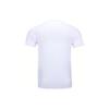 Li-Ning Color Block Striped Sports Quick-Dry Breathable Short Sleeve T-Shirt Men Tops White AAYT581-3
