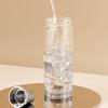 Wanxiang Portable Borosilicate Glass Tea Infuser Bottle