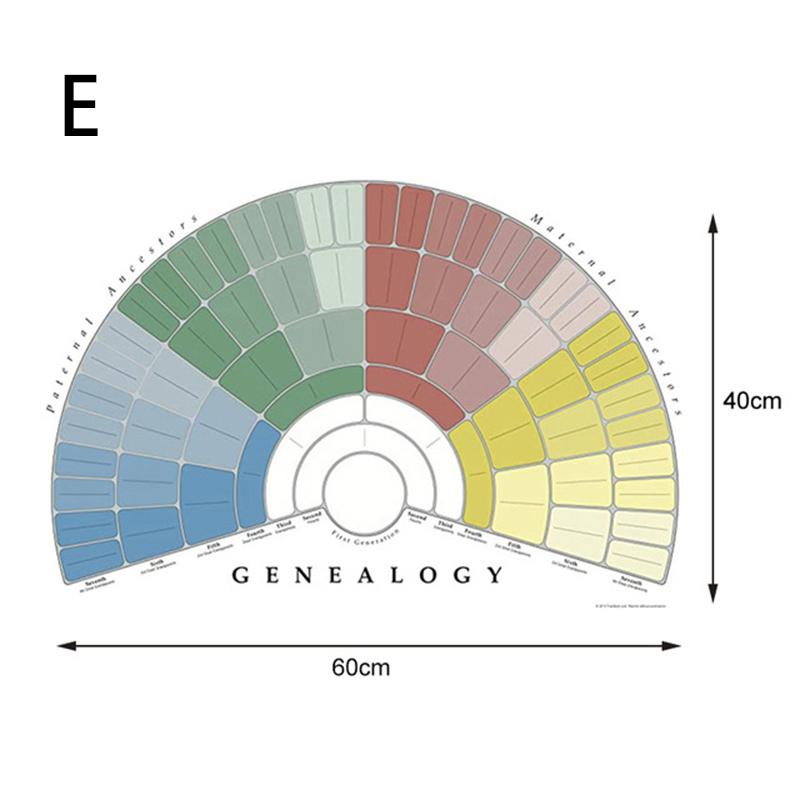 Buy 1PC Wall Art Blank Fillable Family Tree Genealogy Poster Chart ...
