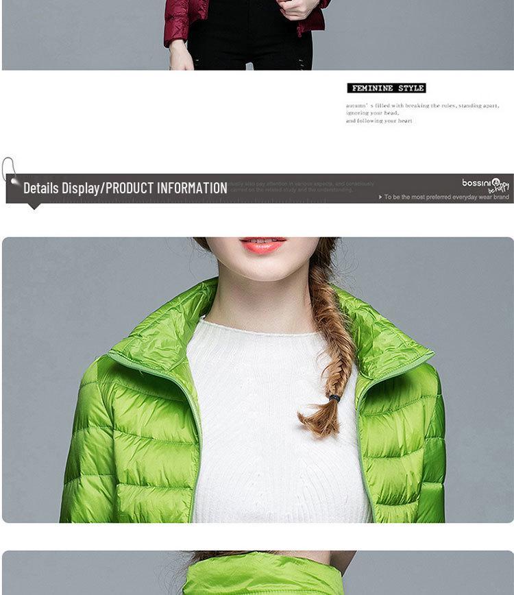 Korean Style Women's Lightweight Slim Fit Down Jacket - Stand Collar, Short, Plus Size, Autumn/Winter