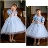 KOCEKID Cinderella Cinderella Disney Princess Kids Accessories Included Dress, Kids' Cosplay, Dress, Halloween, Cosplay, Girls, Costume, Christmas,