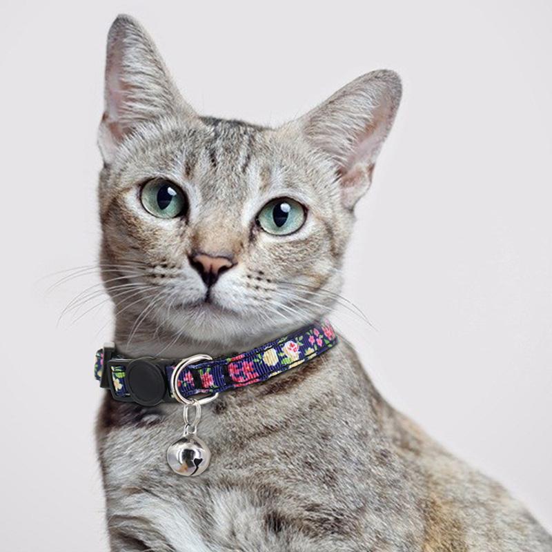 grey cat collar