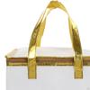 Food Delivery Bag Thermal Cake Carrying Multifunctional Travel for Frozen